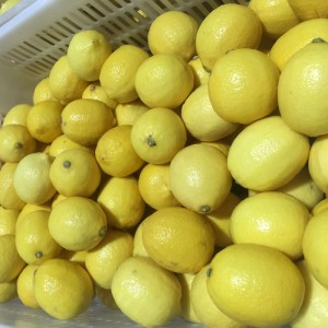 Lemon