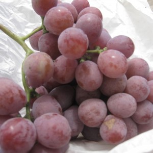 Grape